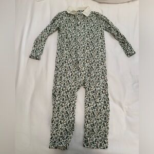 Magnetic Me Pinecones and Leaves